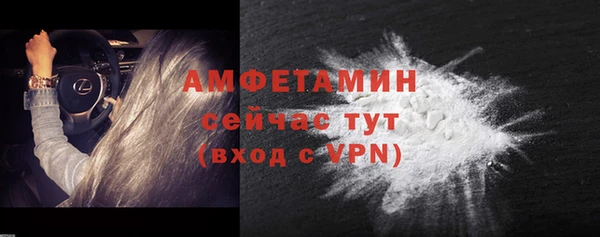 дмт Богданович
