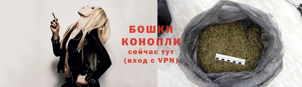 дмт Богданович