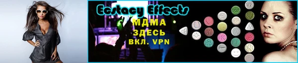 дмт Богданович
