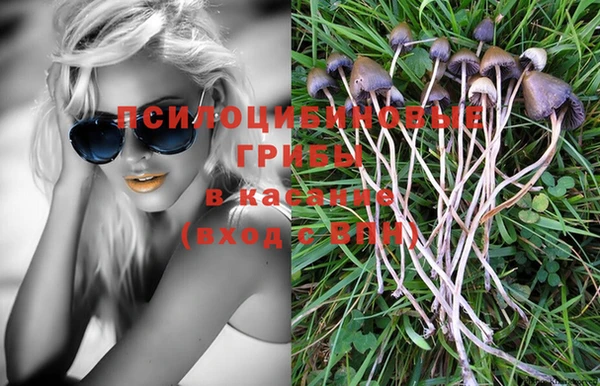 дмт Богданович