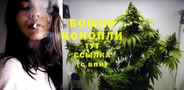 дмт Богданович