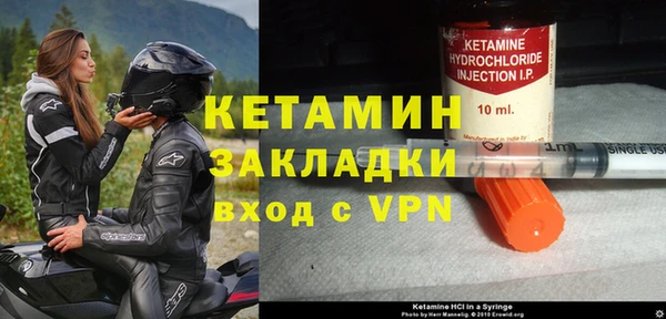 дмт Богданович