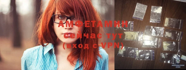 дмт Богданович